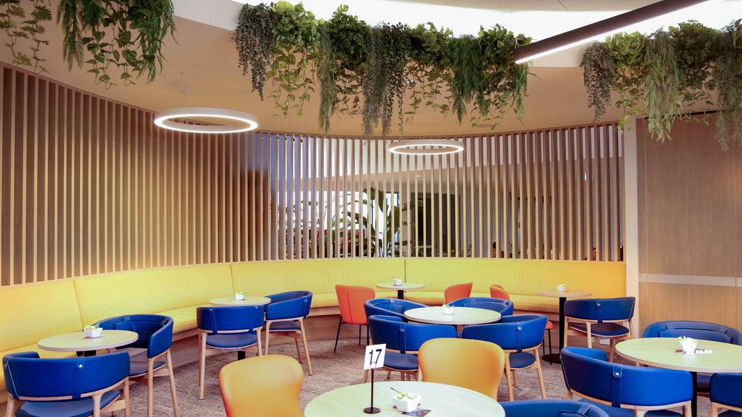 Club Northern Beaches